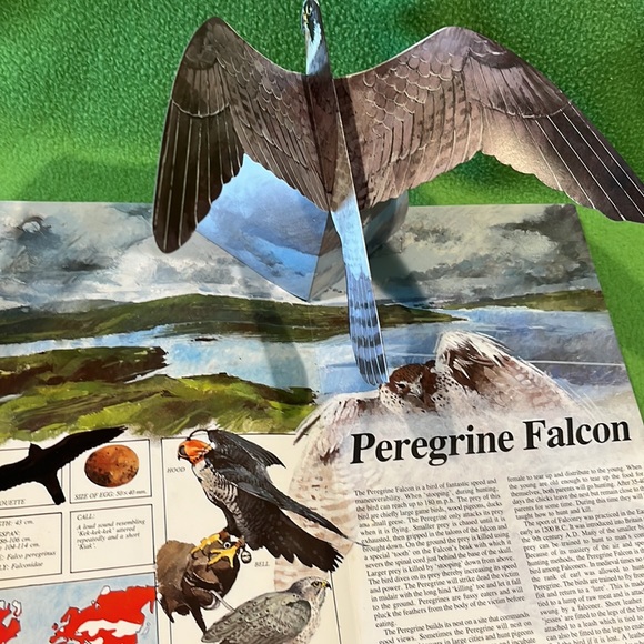 Majesty In Flight Nature’s Bird’s Of Prey in Three Dimensions Pop-Up HC Book - Picture 7 of 9
